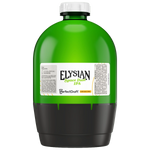Elysian Space Dust IPA